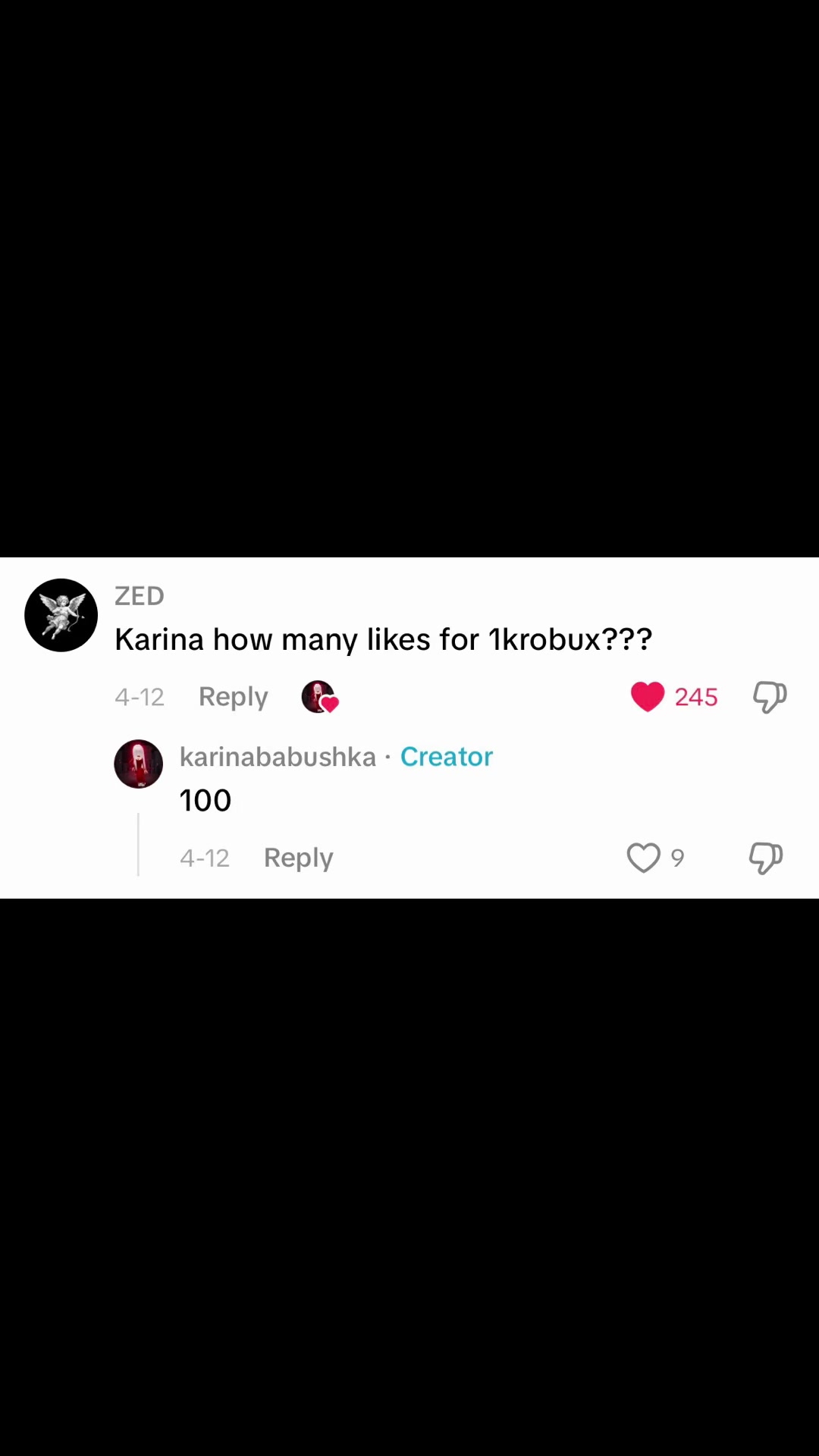 @karinababushka