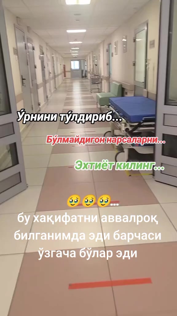 @BASIDA