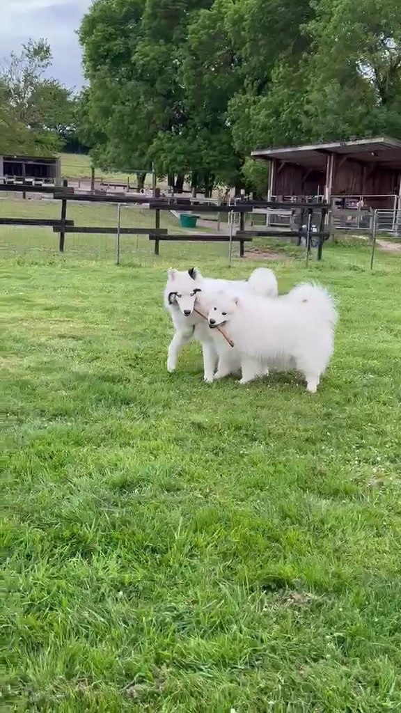 @_Sarah.mrn_