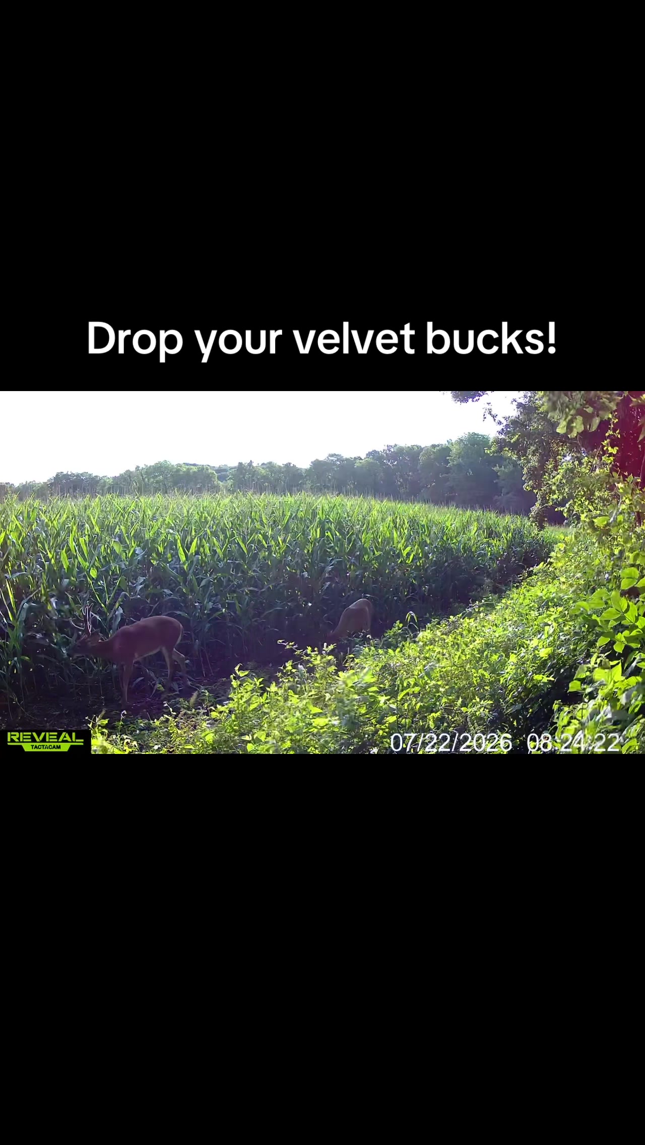 @Going for broke outdoors