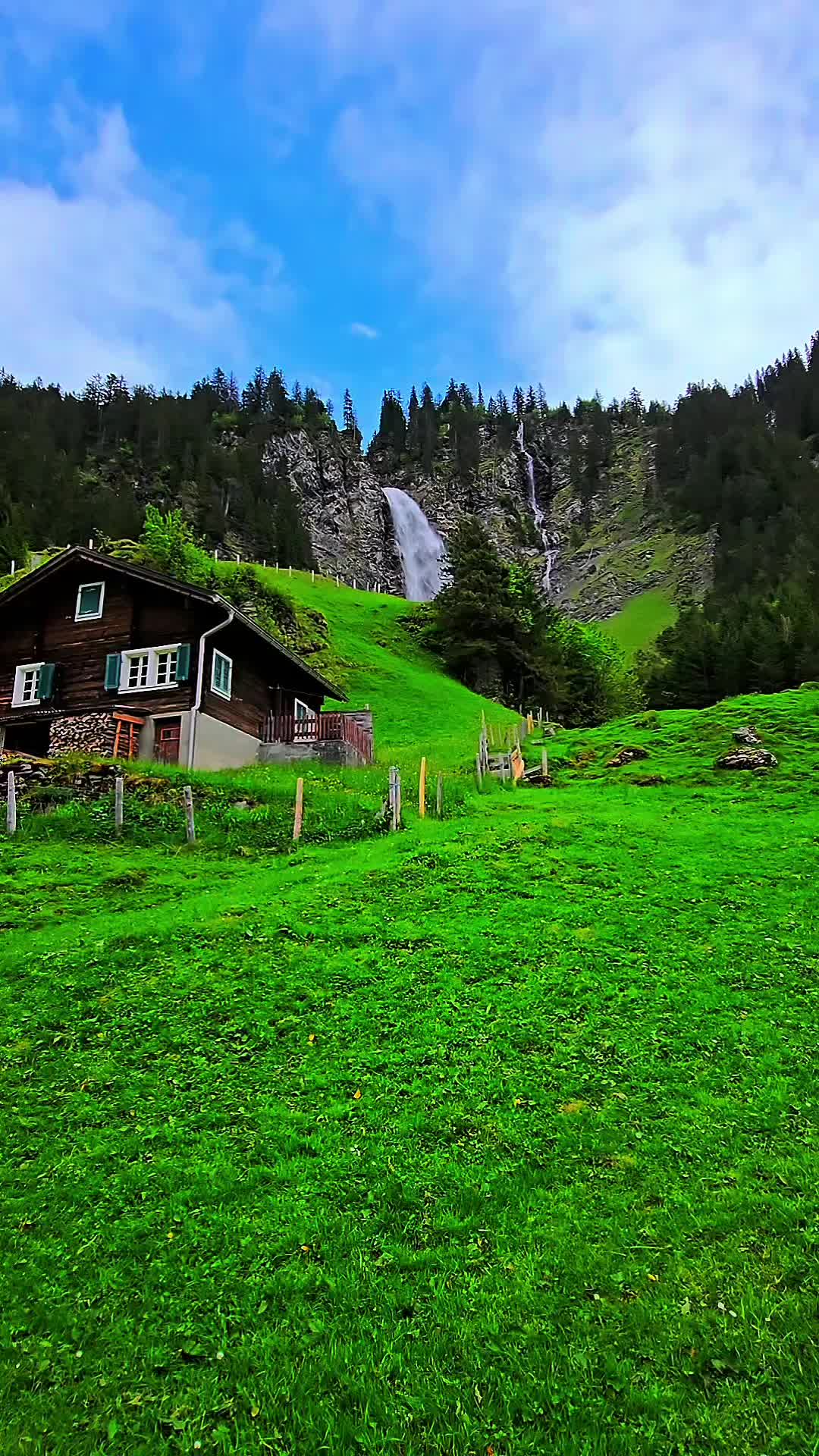 @🇨🇭başkan🇨🇭