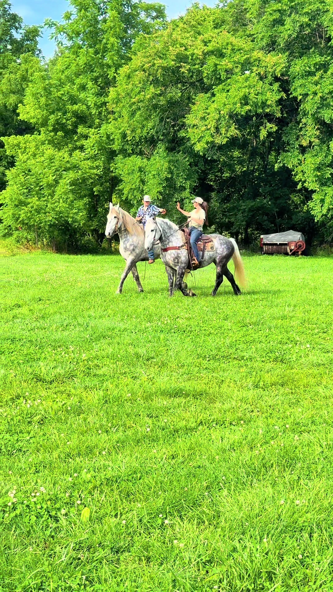@Lucky D Ranch 🍀