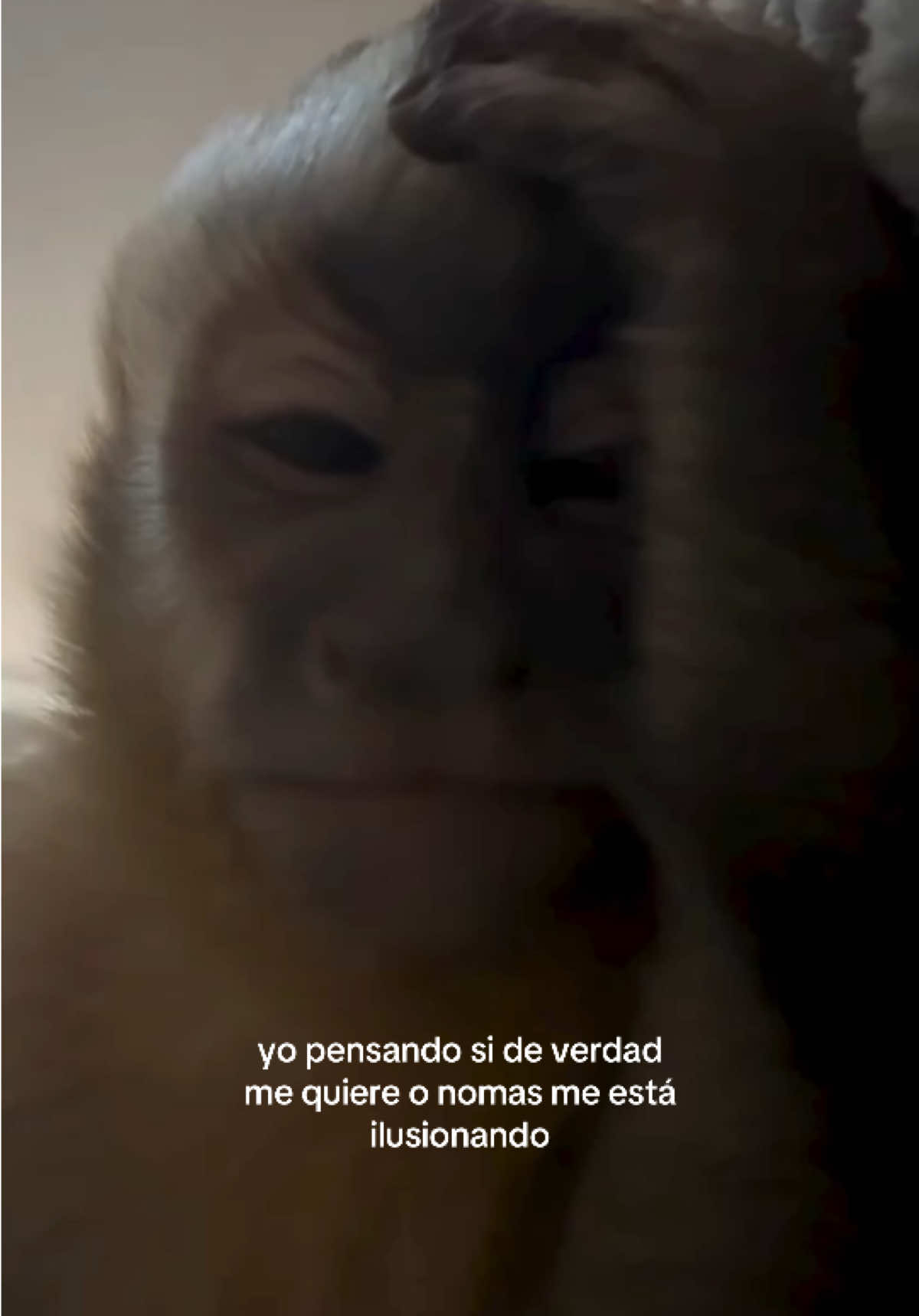 @daismined
