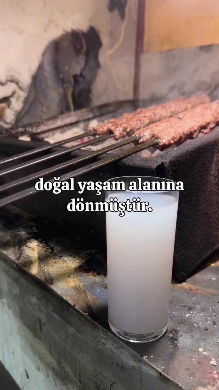 @šš¢š„šš§ šš§šš® šš