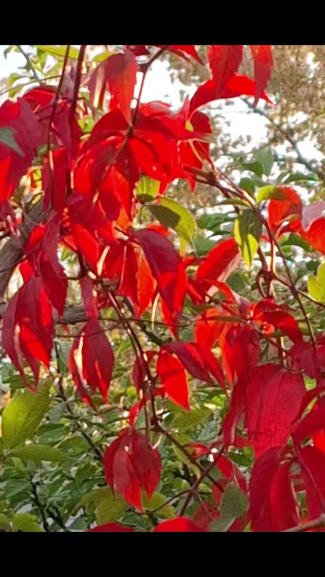 @Natur und Garten