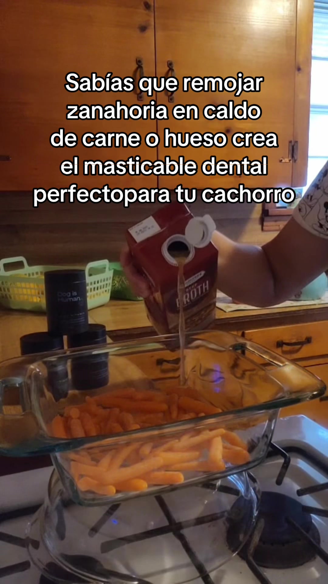 @VALENTINA💜