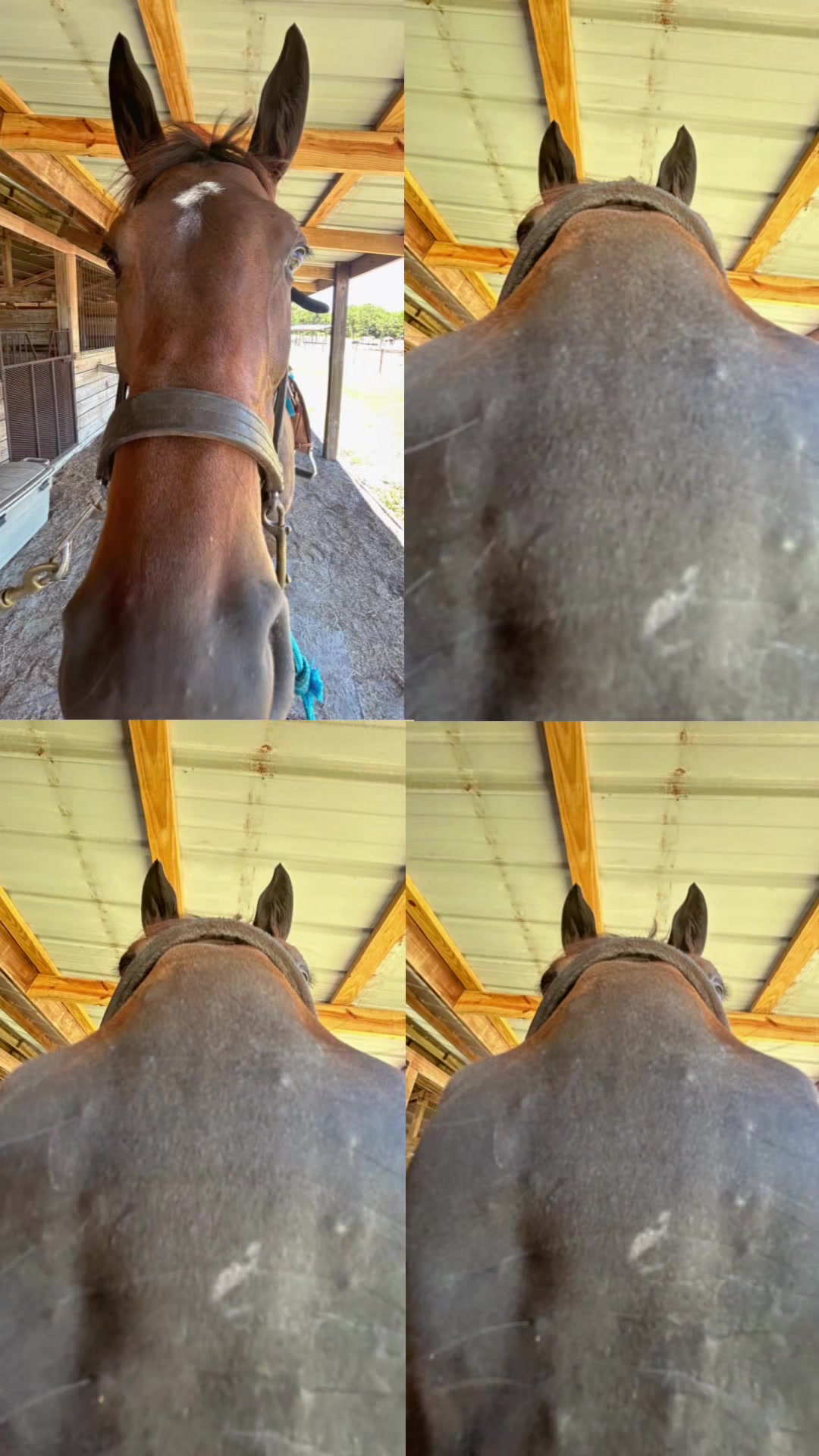@Rachelrides
