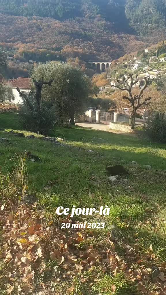 @flopy et Urion