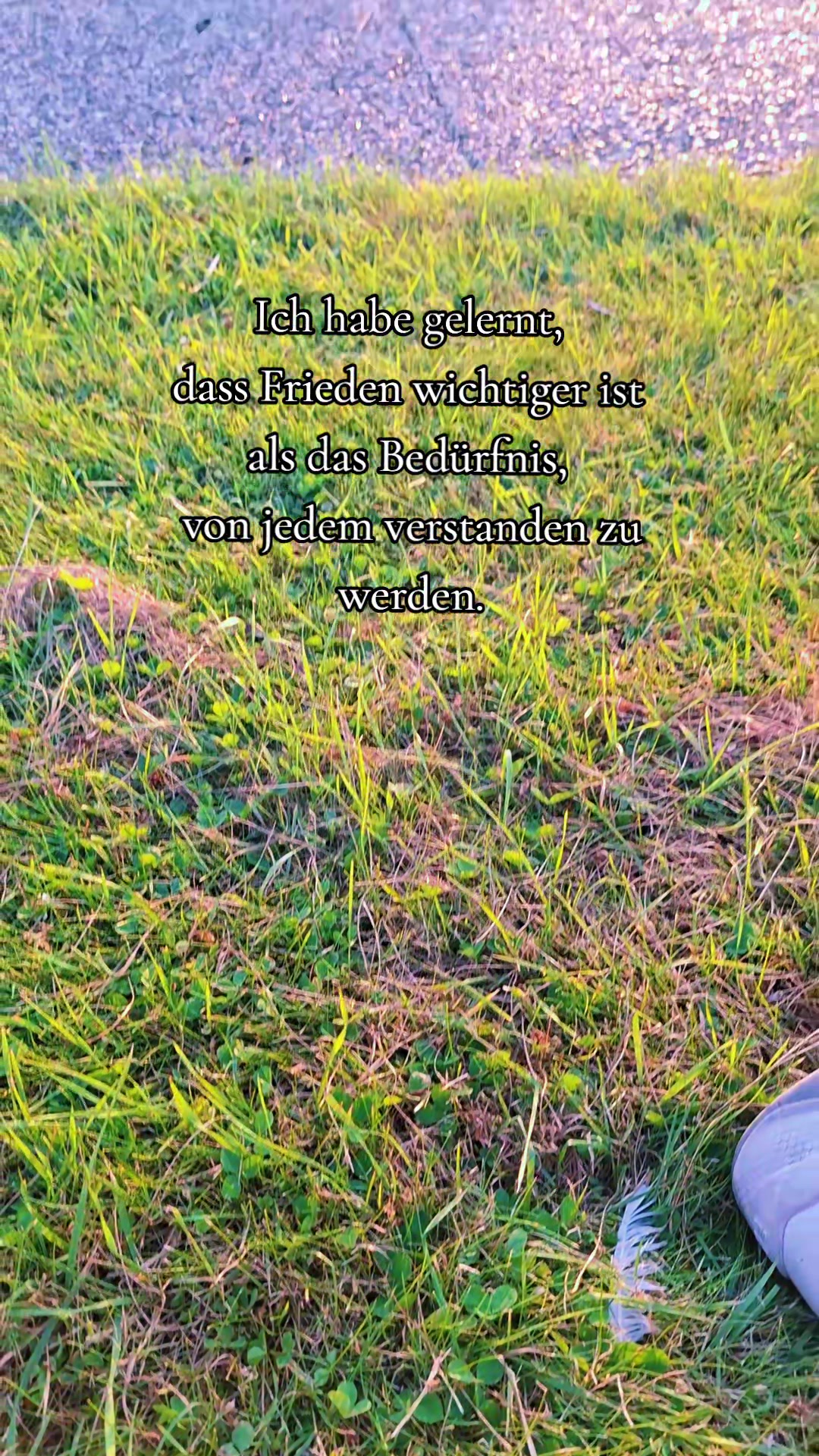 @✨️🧡Einfach Elli🧡✨️