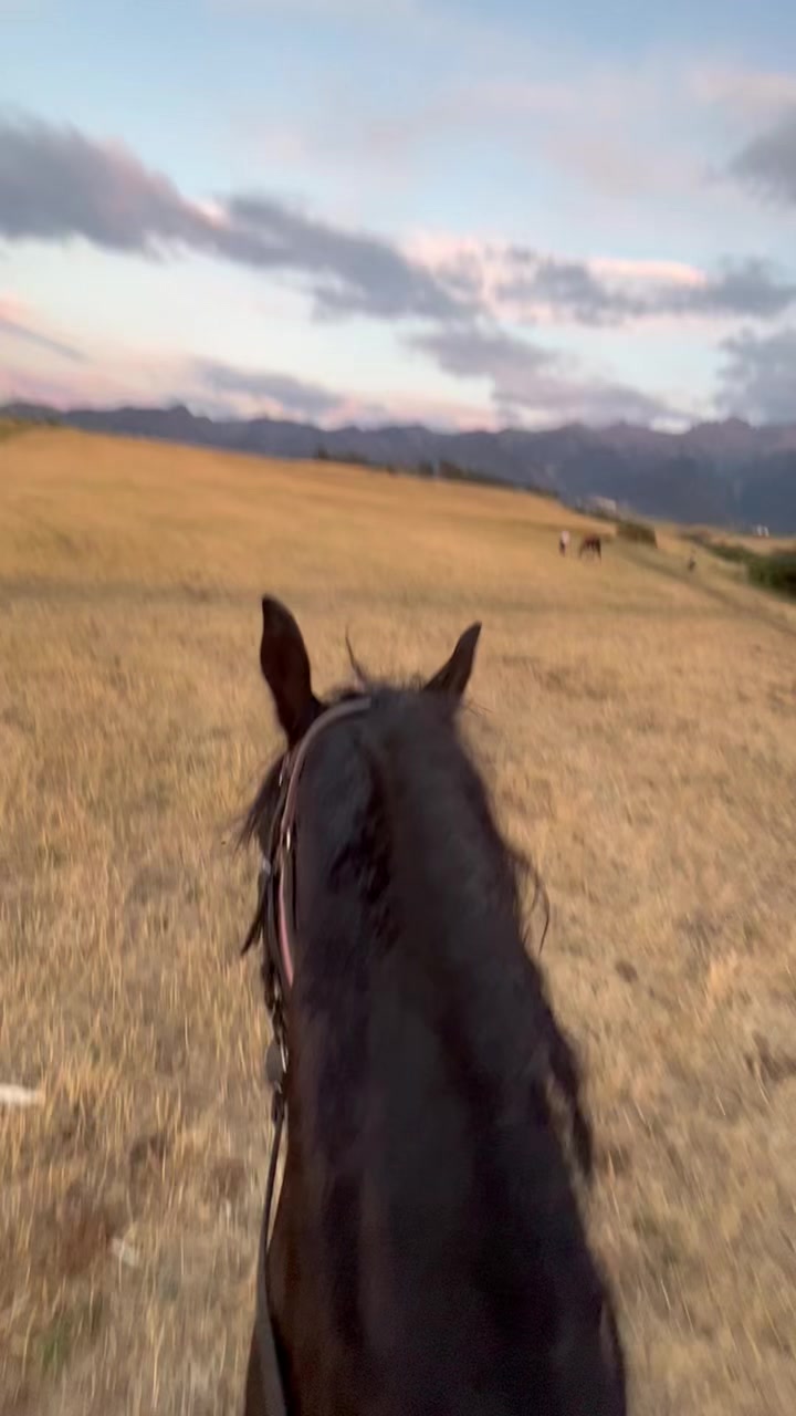 @jockey.hors