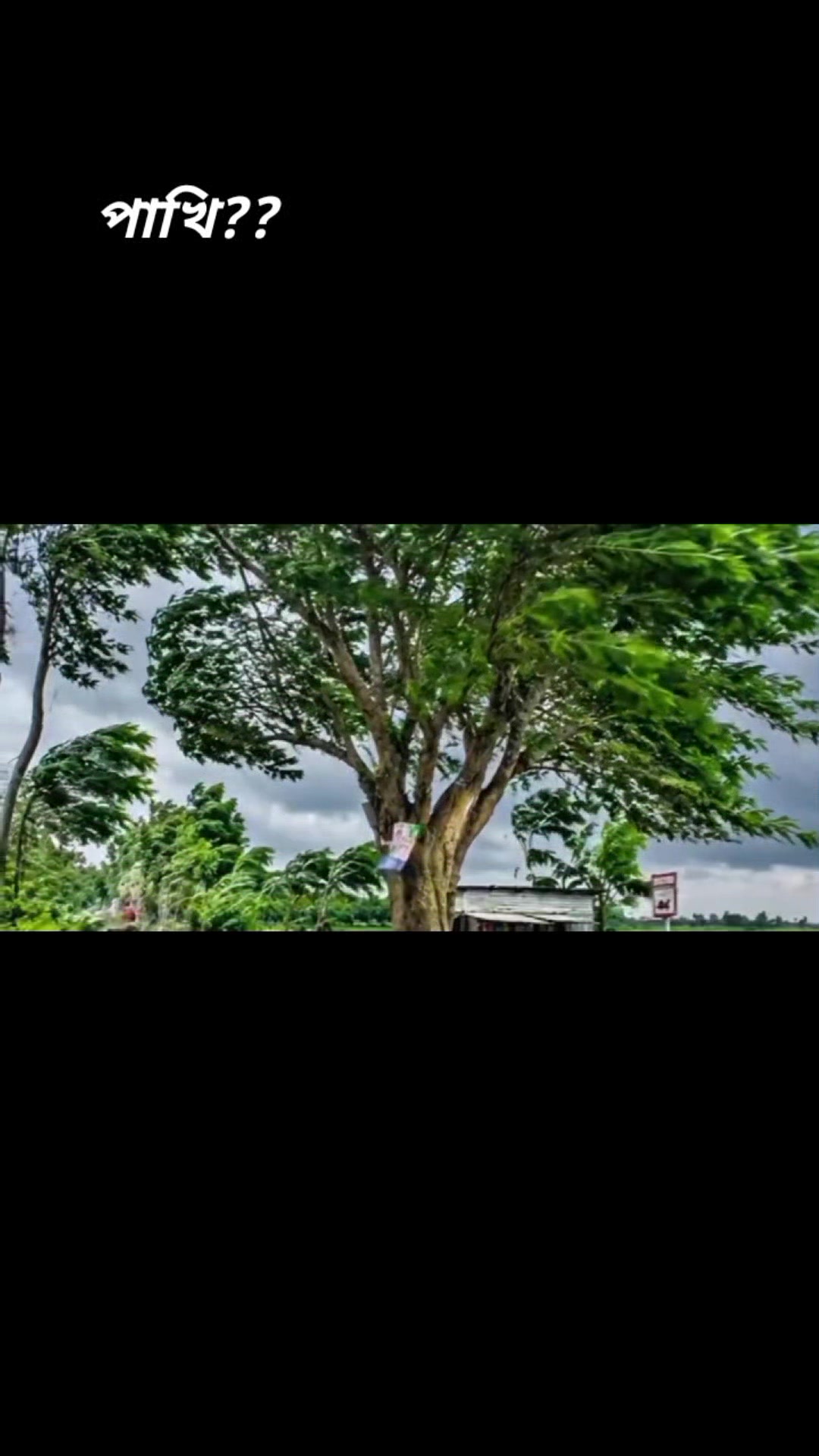 @đ´đđđđđđ...