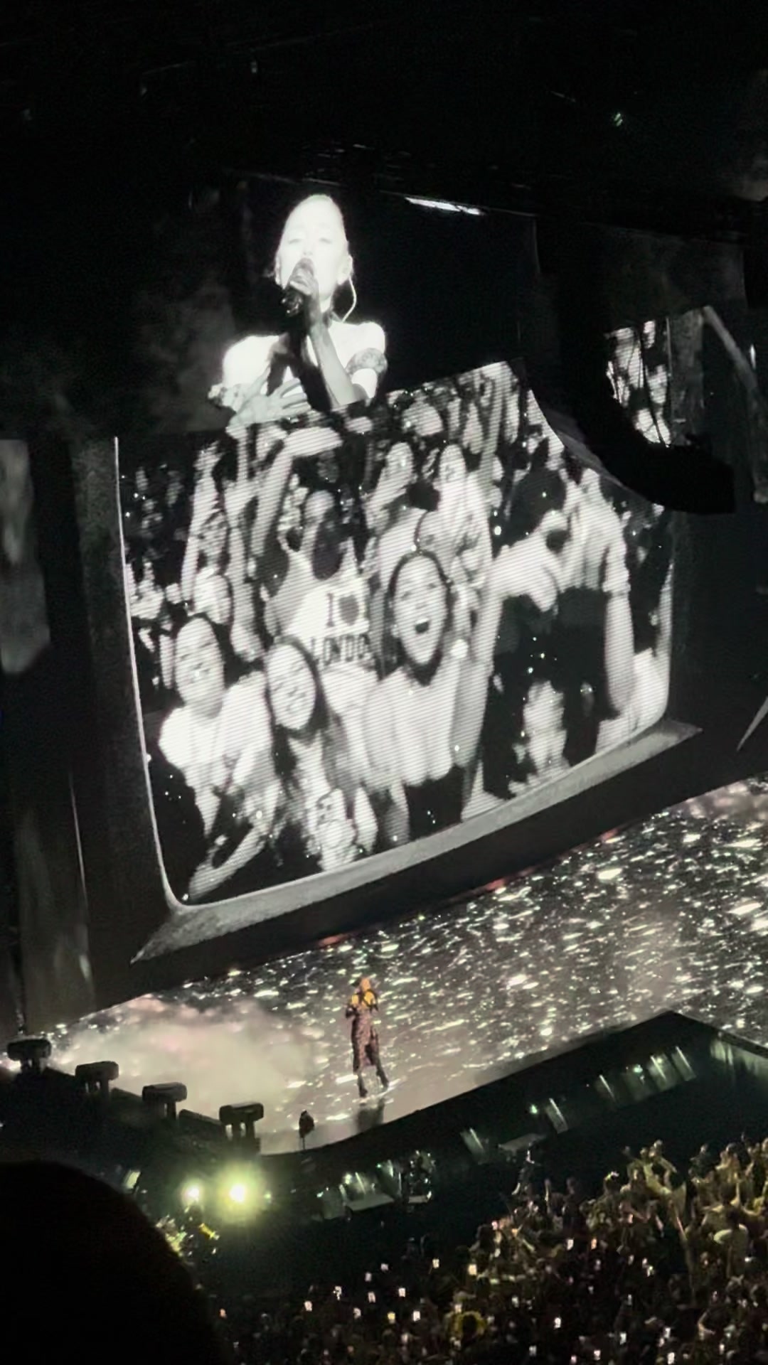 @Atanakumi / Pop/K-pop concerts