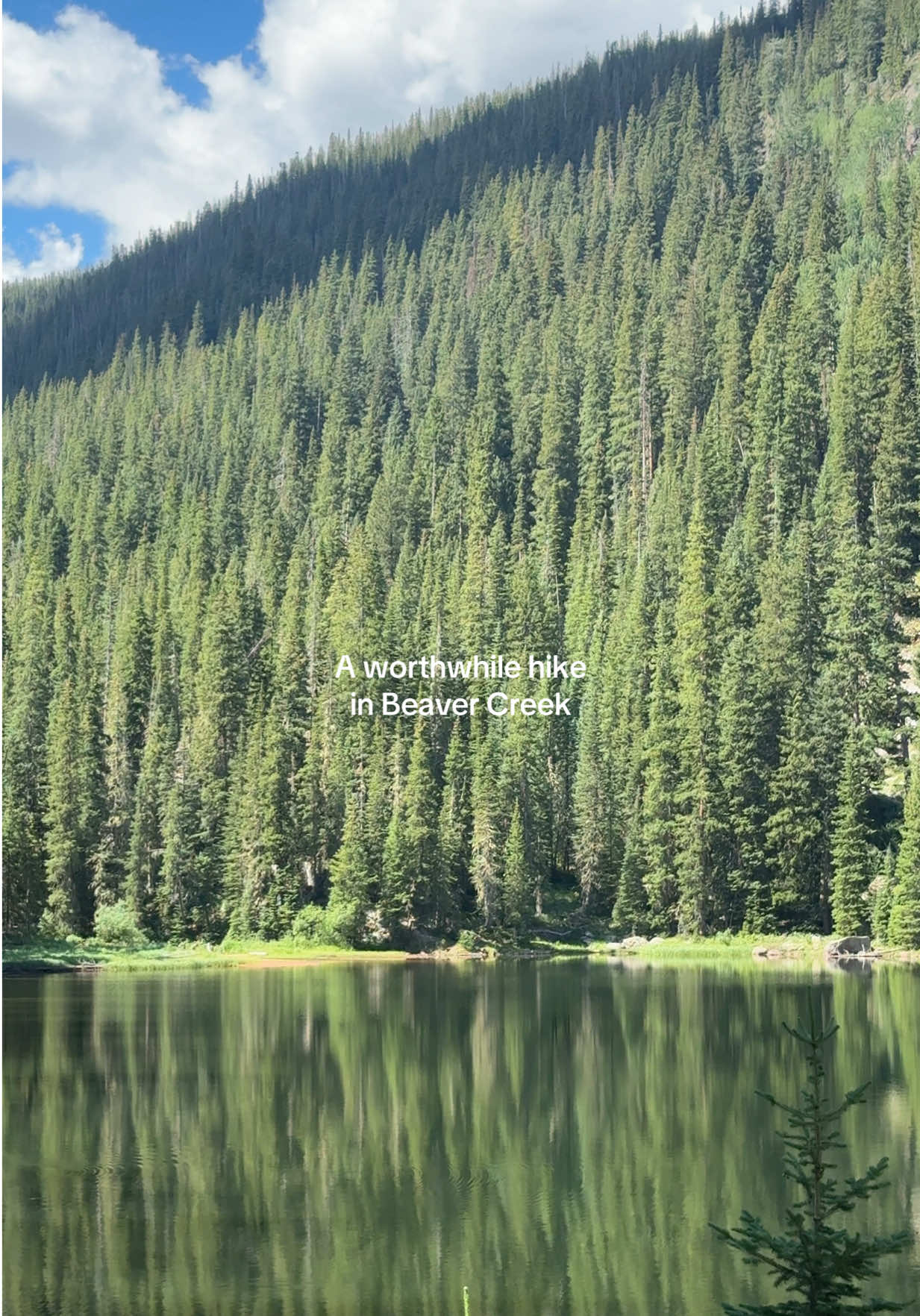 @Ariana ❋ often elsewhere