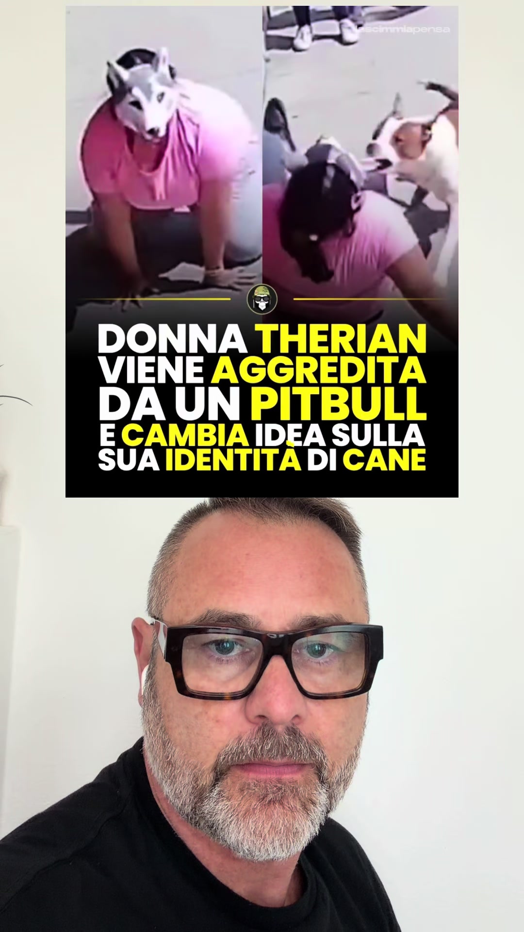 @Antonio Dimichele