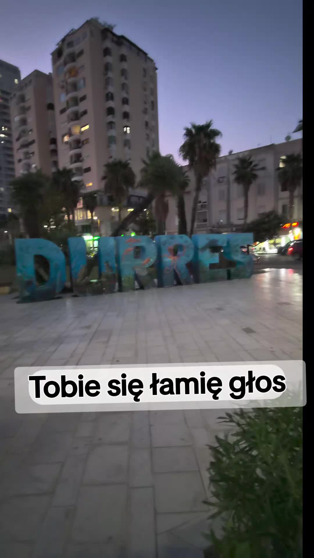 @Śladami Zebry