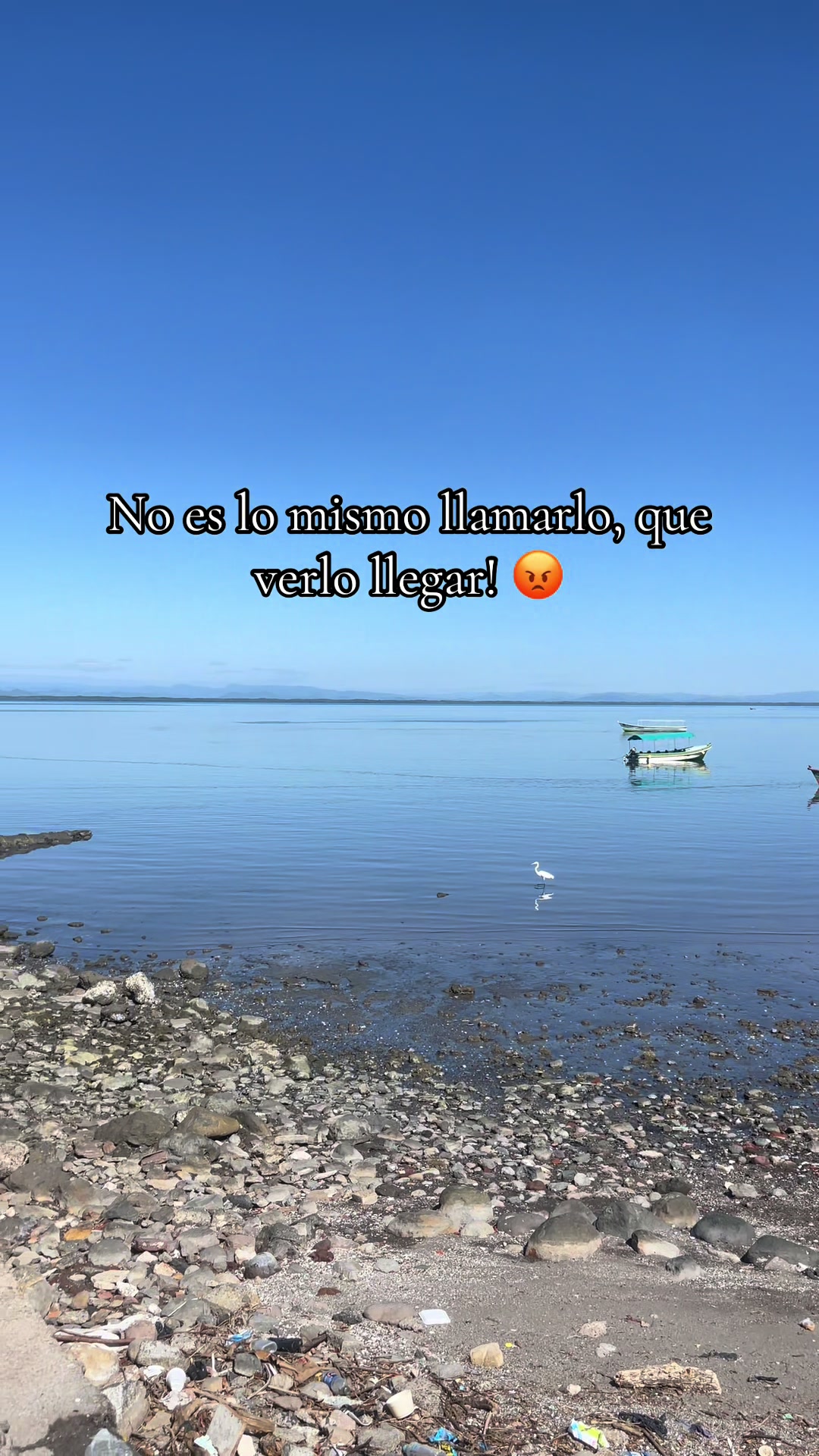 @I_am_lennin_oficial🐯