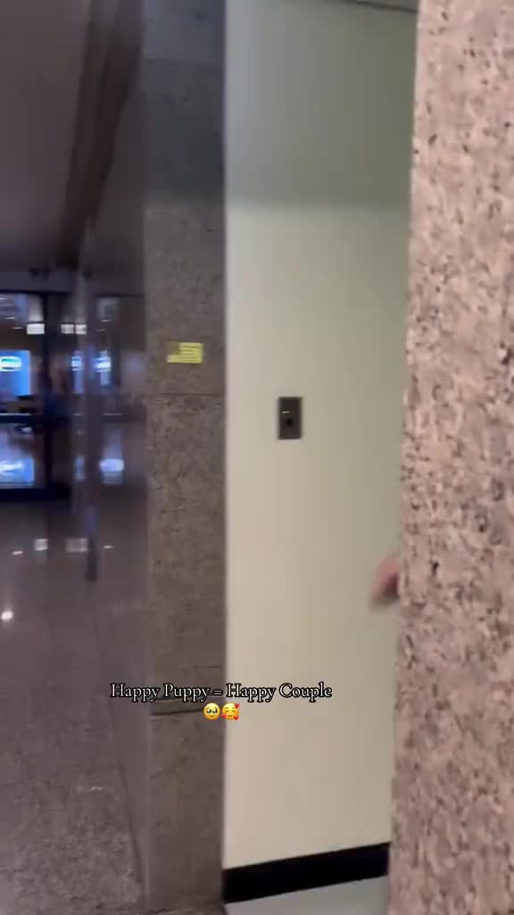 @nongwesleyaunty🎸🦈🥚