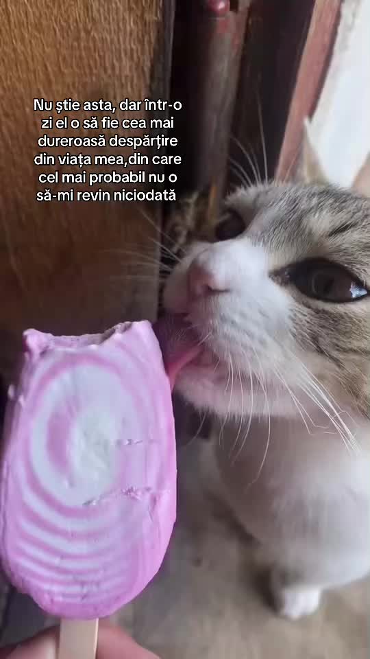@ใโ
๐๐ฃ๐๐๐๐โซๅฝก