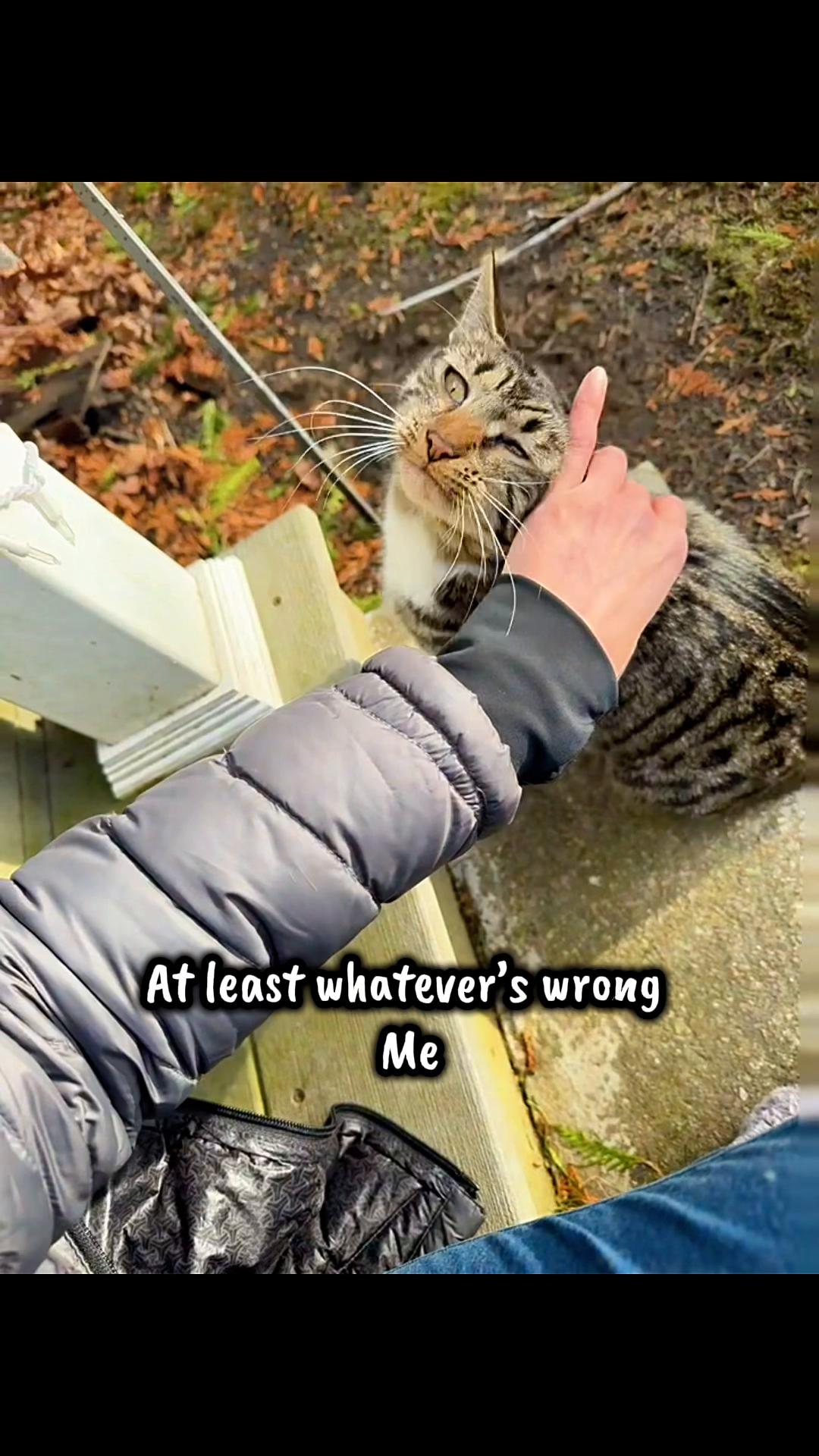 @TailsandWhiskersCo