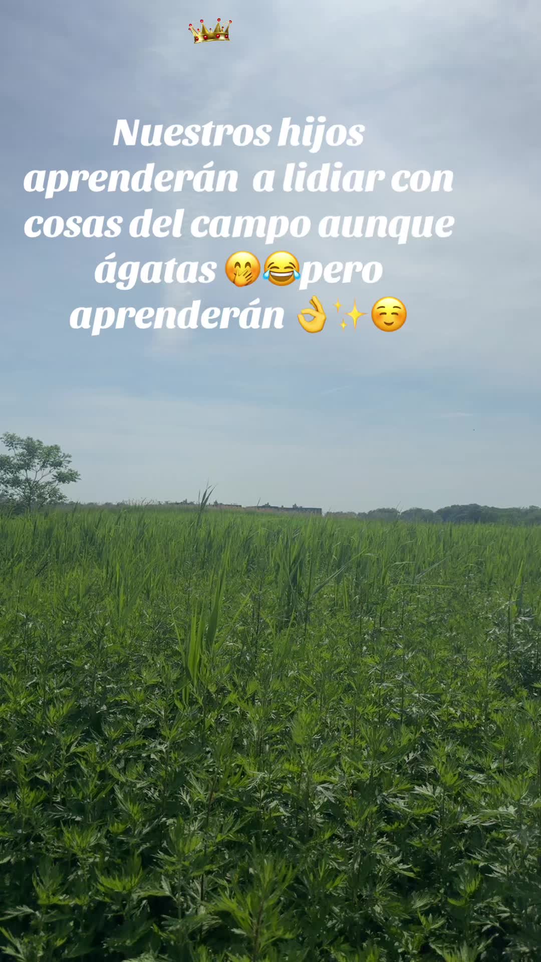 @👑 🐇🌶️🌳🇲🇽F1N@🫡🧸