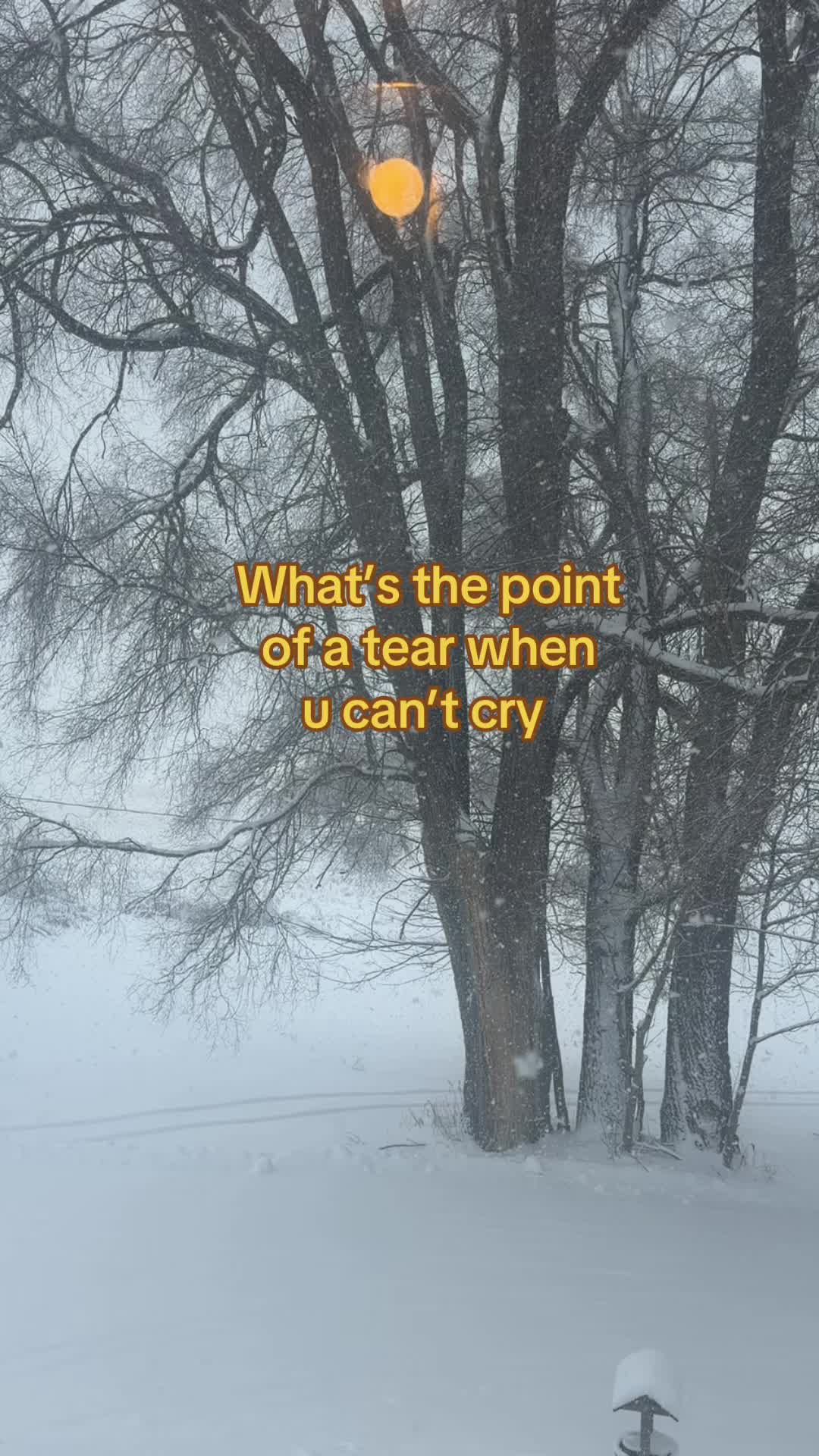 @ryanp_spam