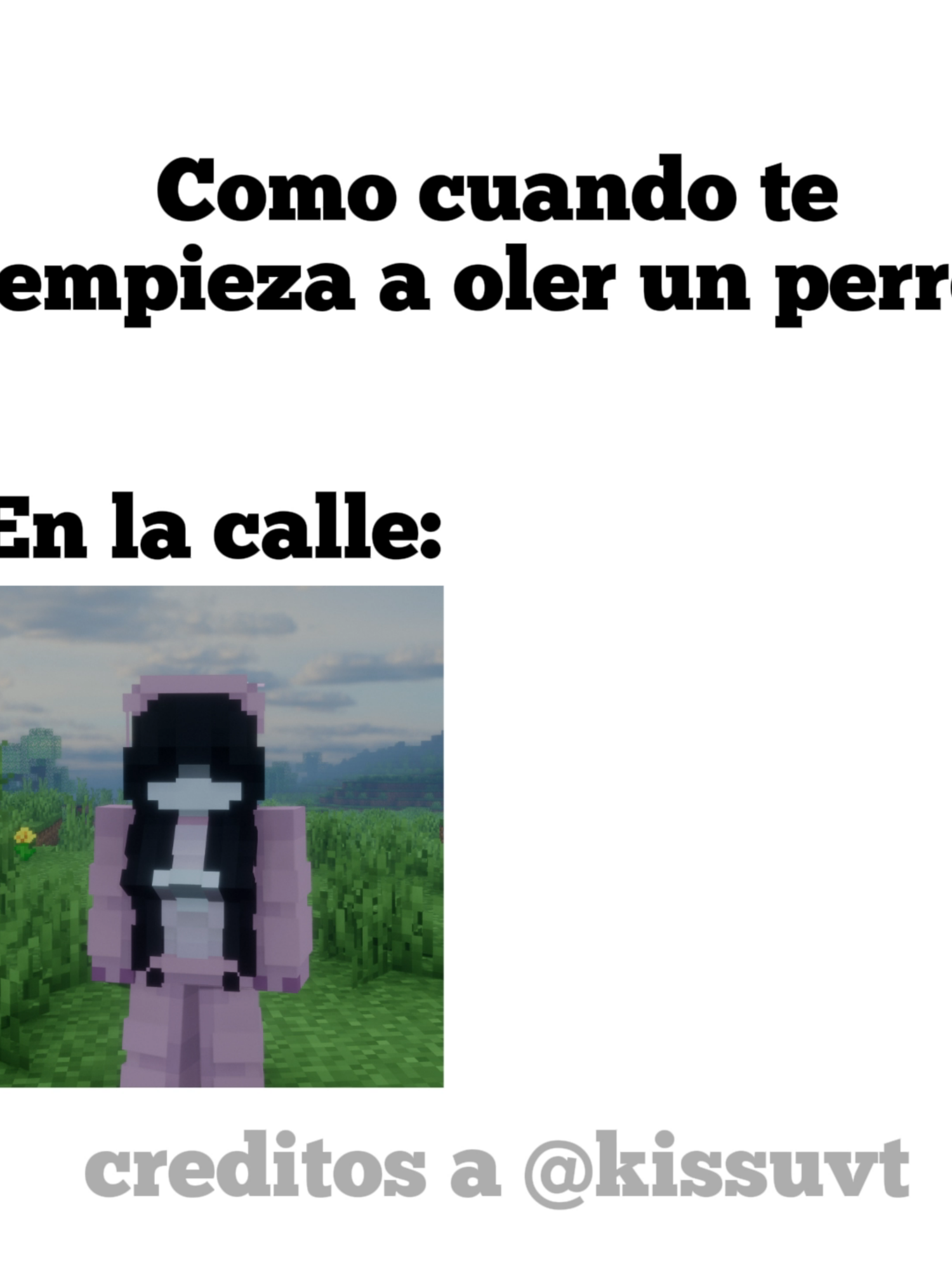 @PauLaLaMC