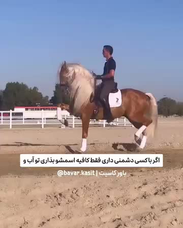 @bavar__kasit__1