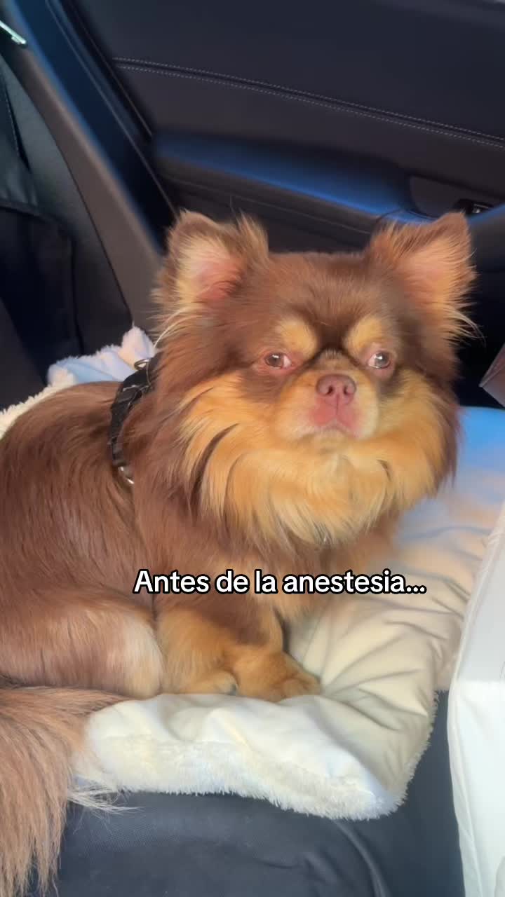 @Olga Catena