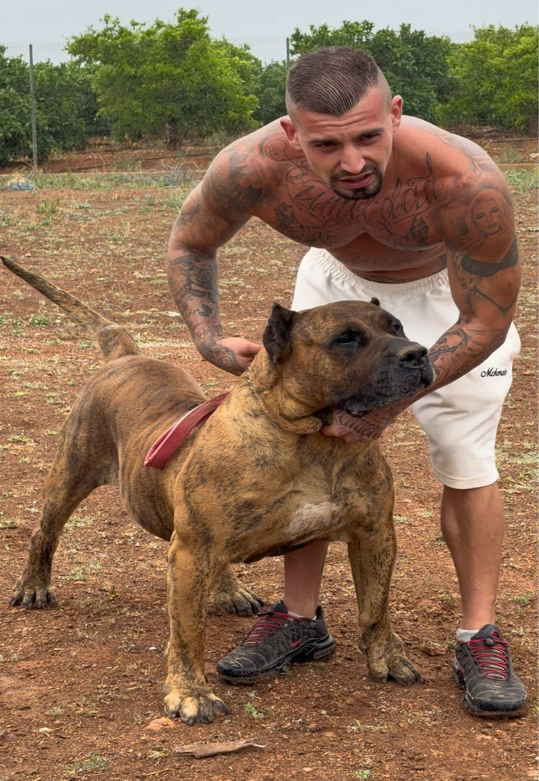@Alberto Presa Canario Sanz