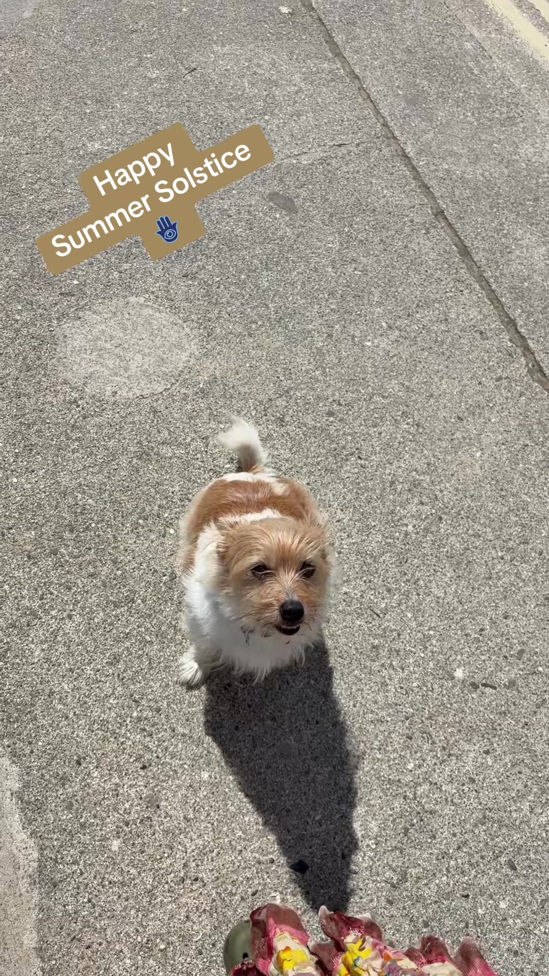 @Sara Dawson