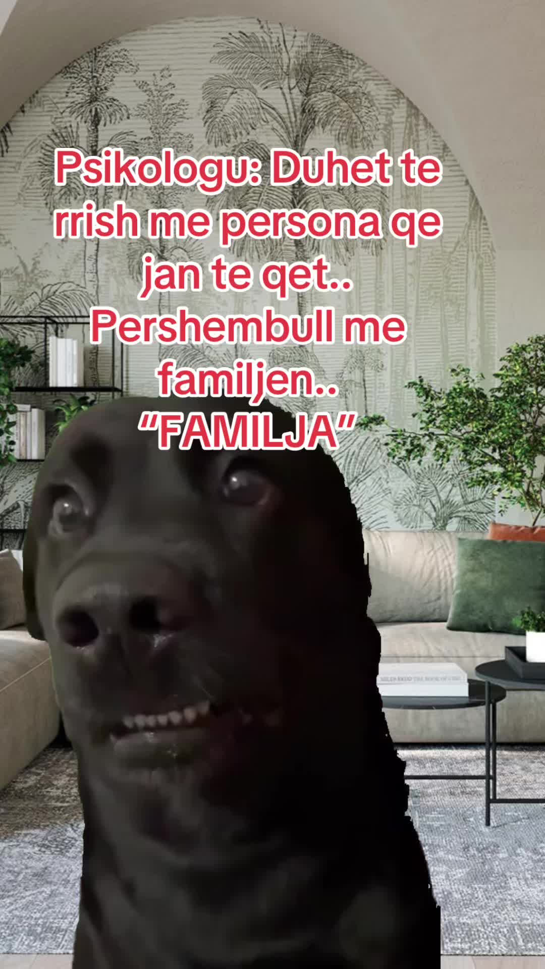 @Rafaela