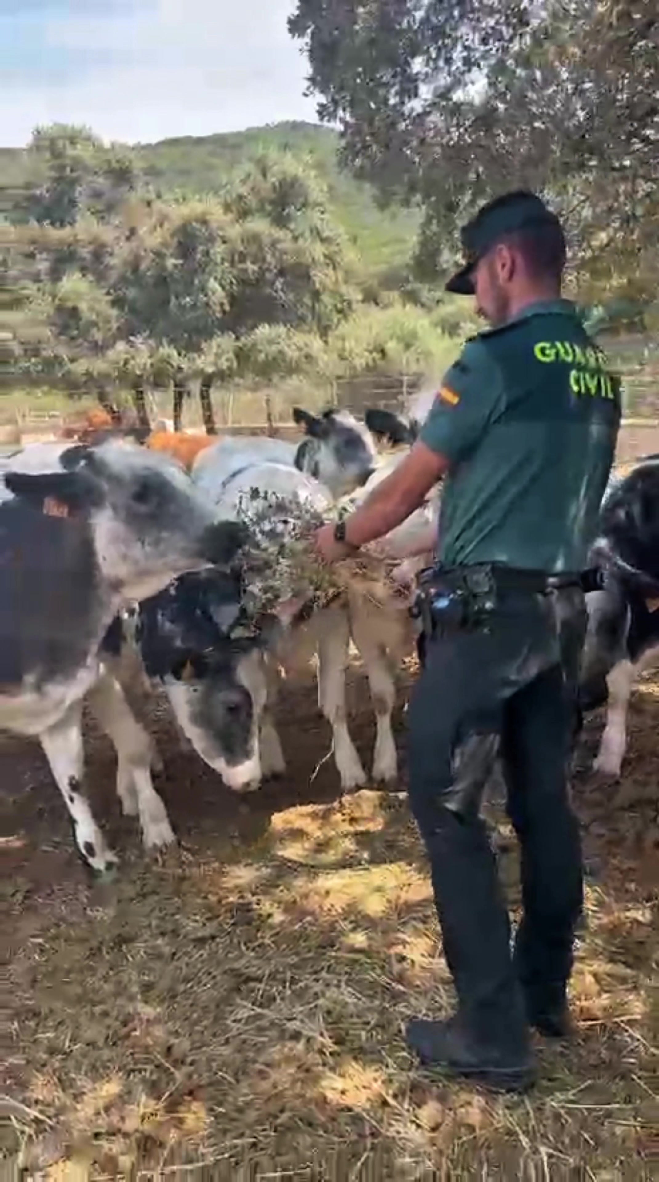 @Guardia Civil