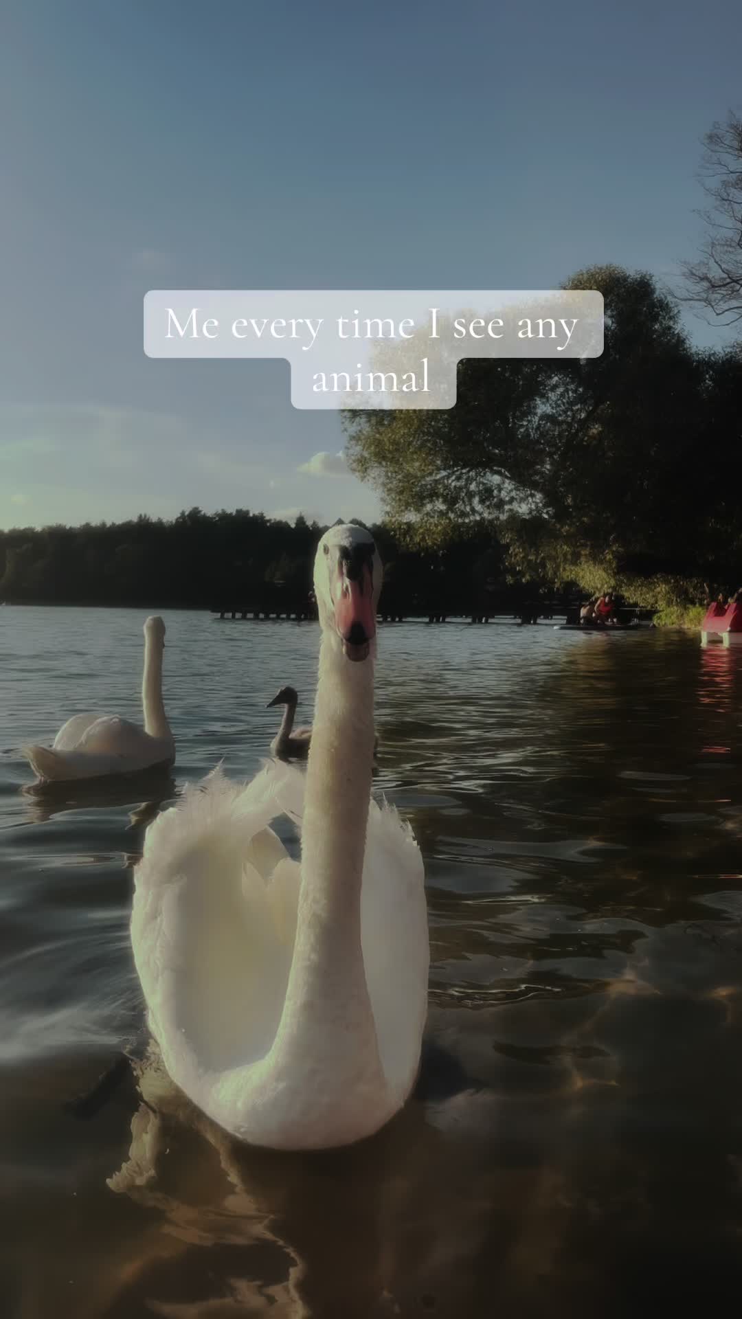 @𝒆𝒘𝒄𝒊𝒂 &bull; 𝒆.𝒌𝒐𝒔𝒔𝒖𝒕𝒉