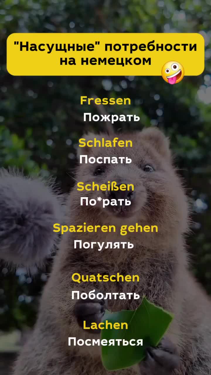 @Немецкий язык