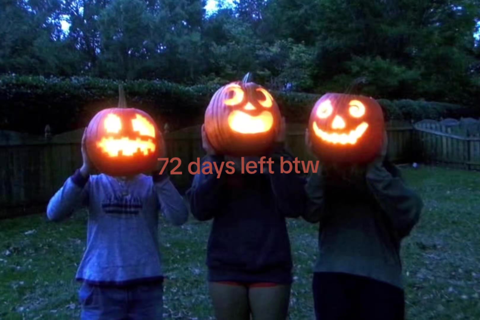 @ouioui