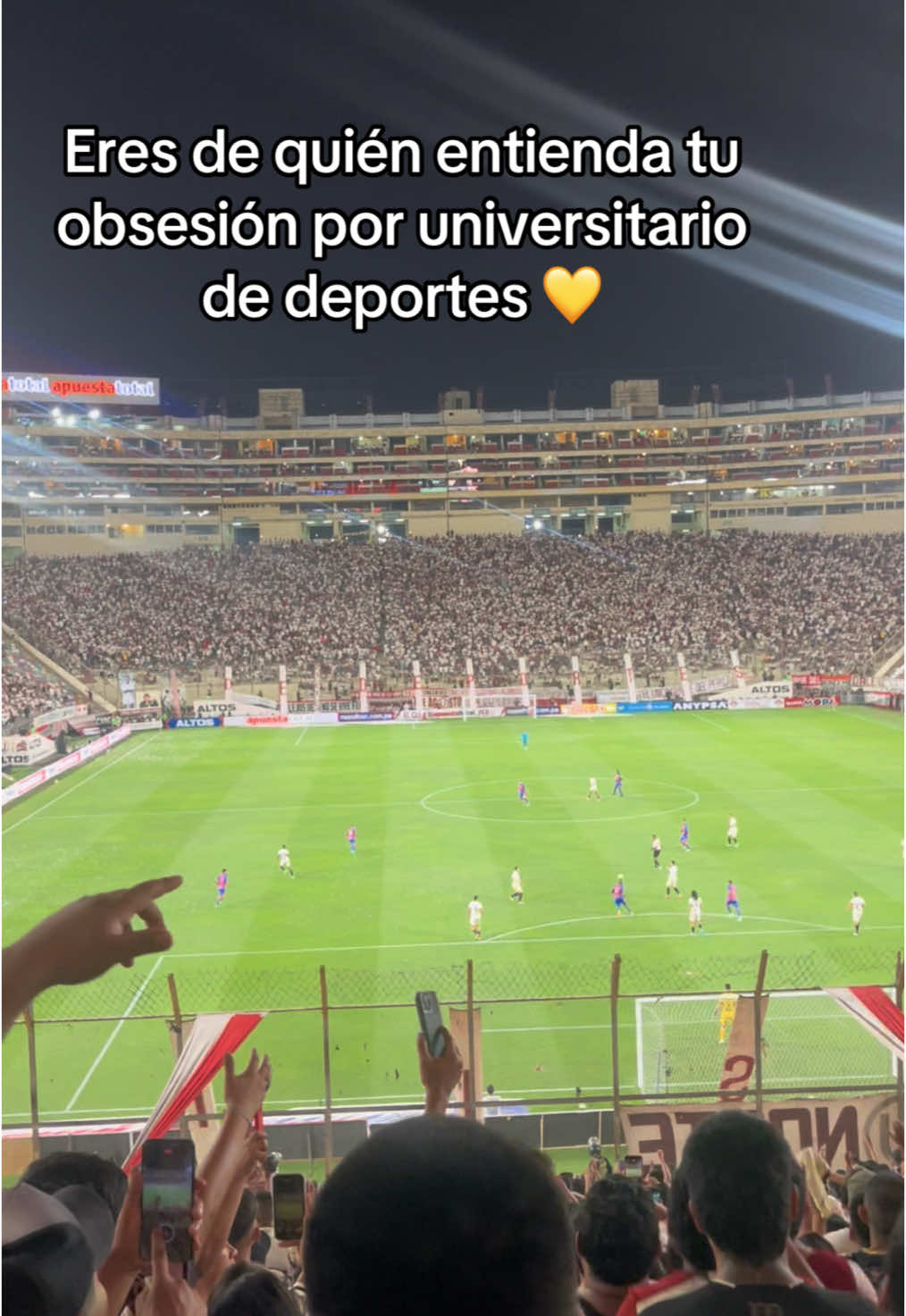 @Vivian Alfaro
