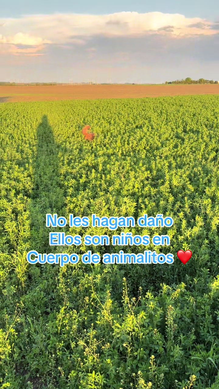 @Reyna y Churro 🐶😍