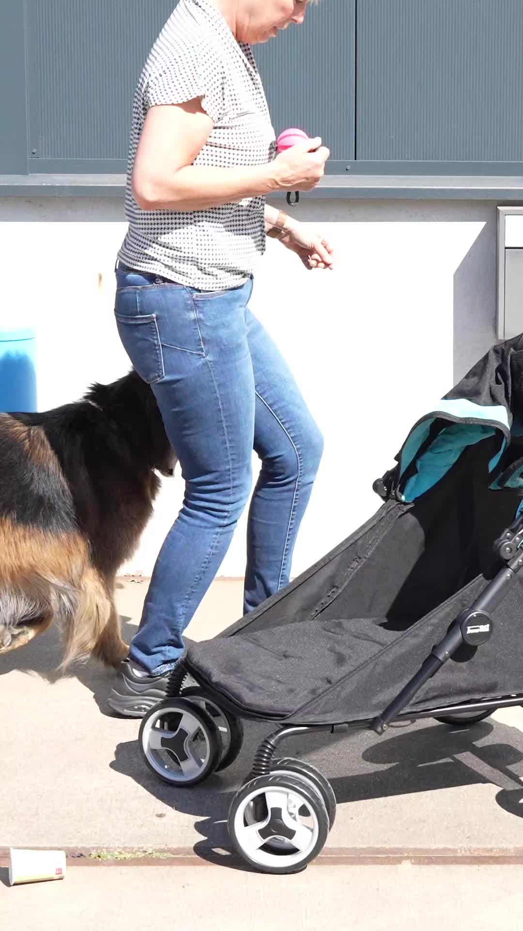 @Luxury Pets - Woefwinkel