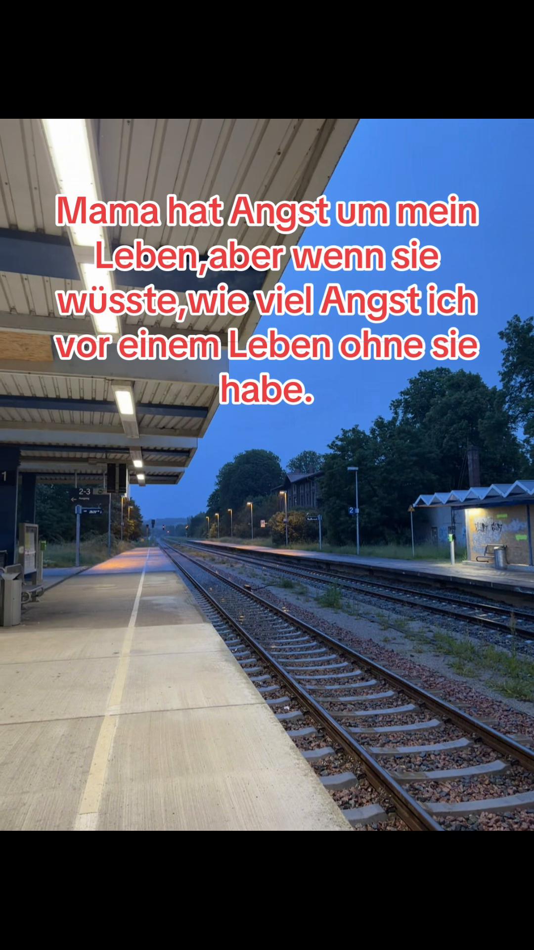@Fabiene❤️🐝