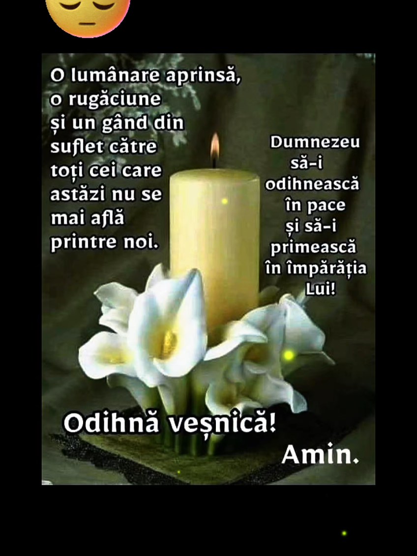 @Violeta Ana Damaschin
