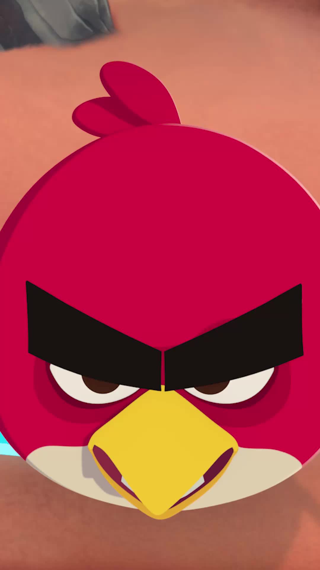 @Angry Birds