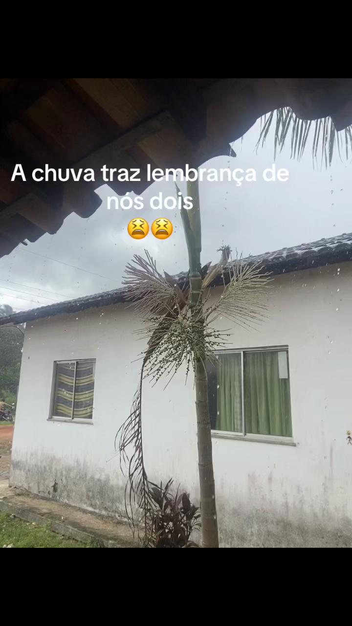 @🧚♀️Vitória Beatriz