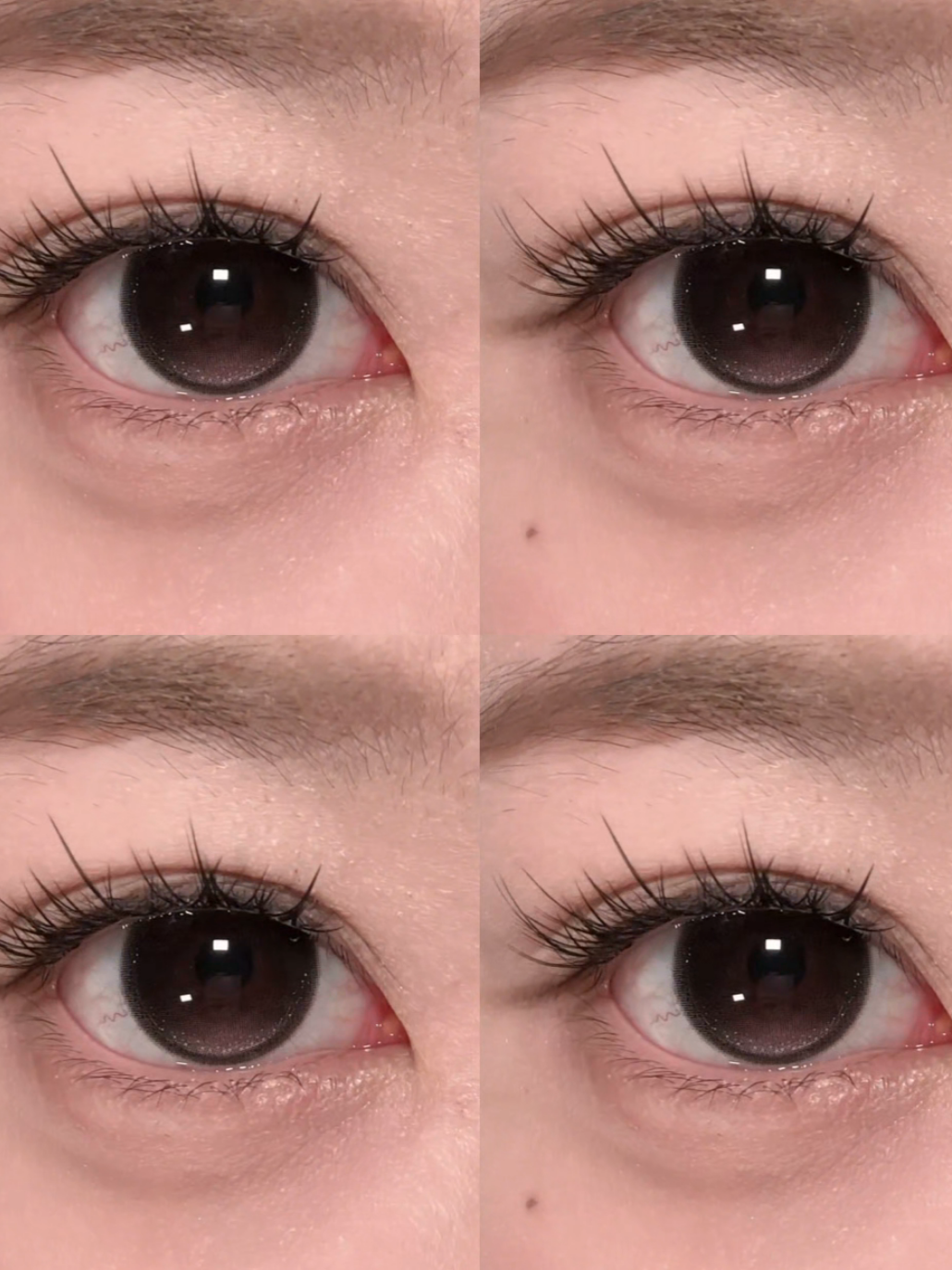 @sigocontacts_official