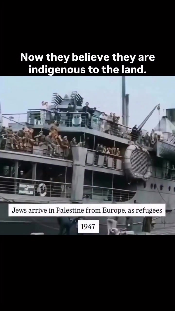 @Free Palestine 🇵🇸