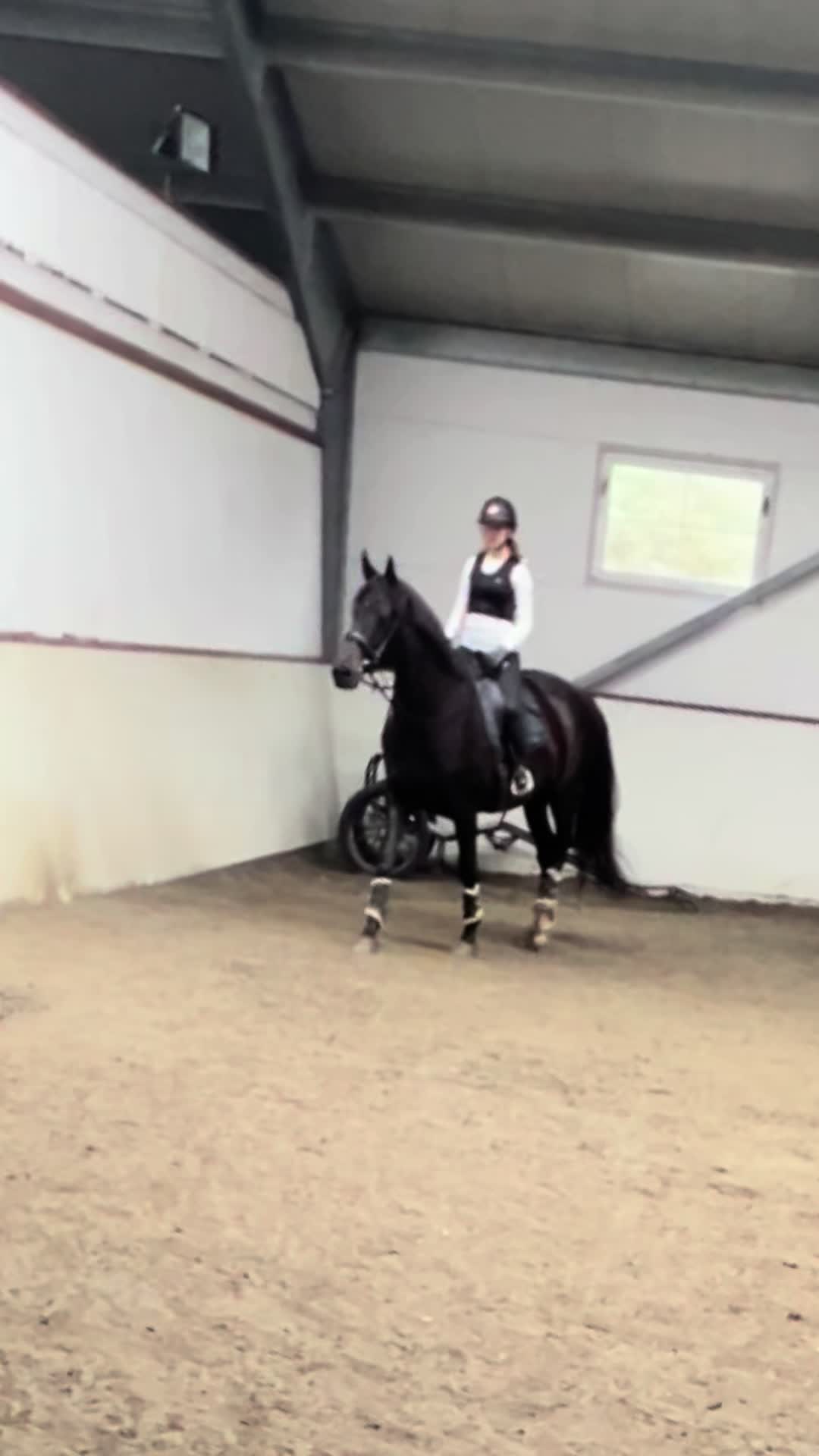 @mathilde 💕🐴