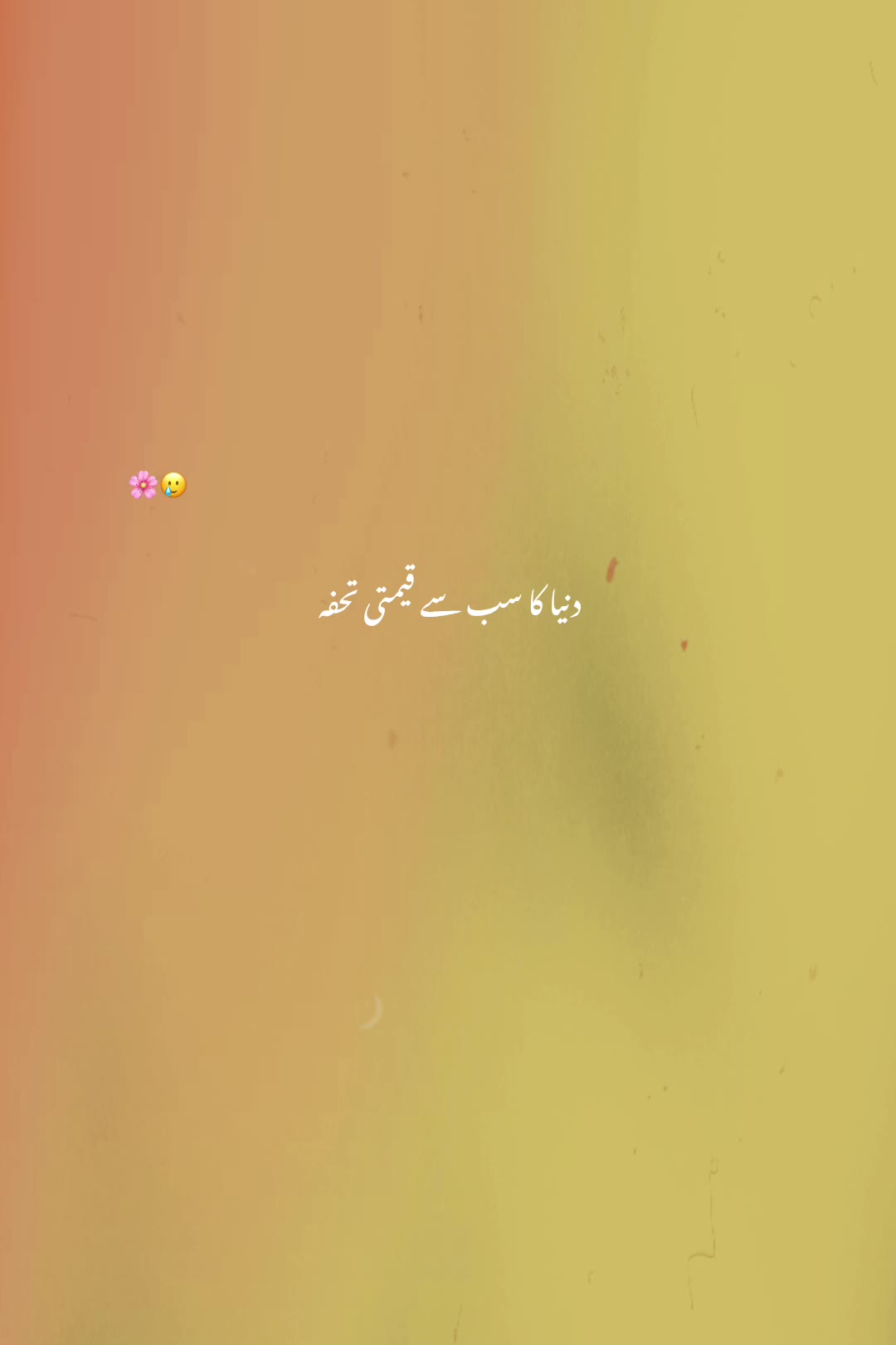@α૨❍❍ꪮ 🐾