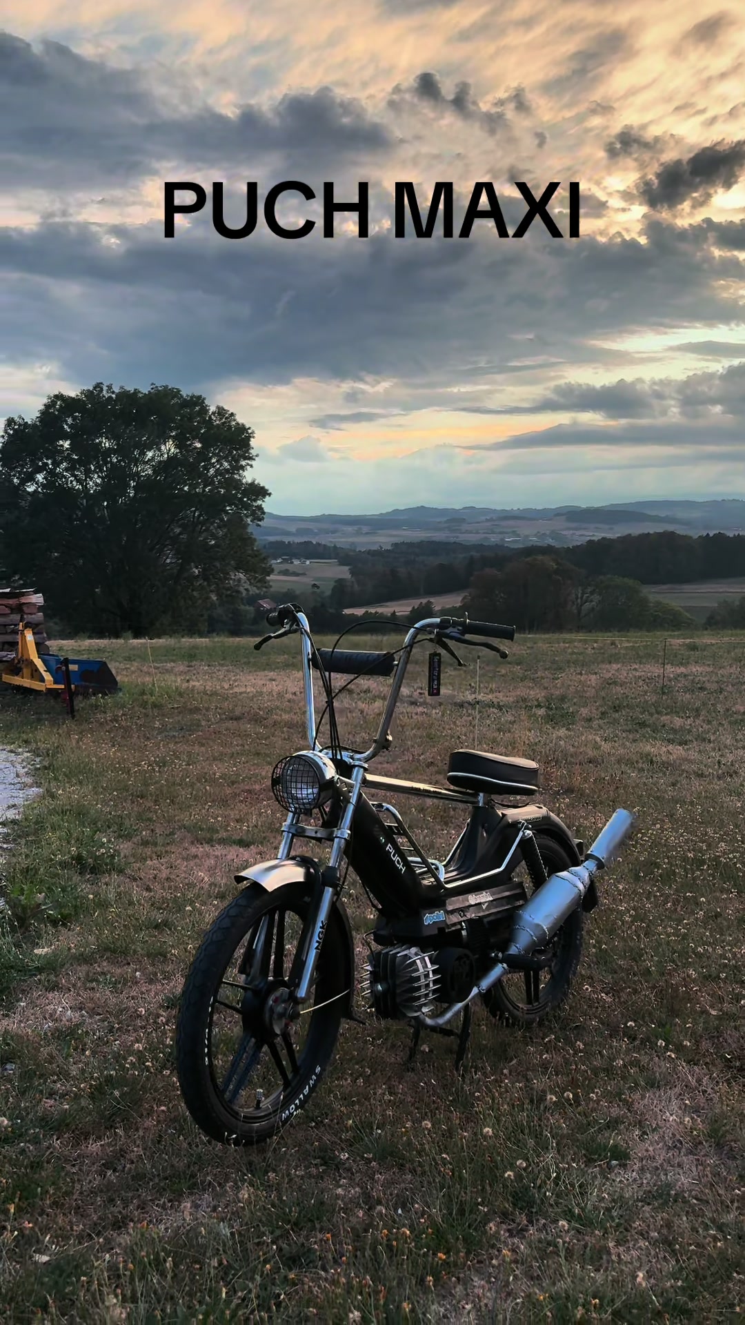 @Black_Puch_swiss
