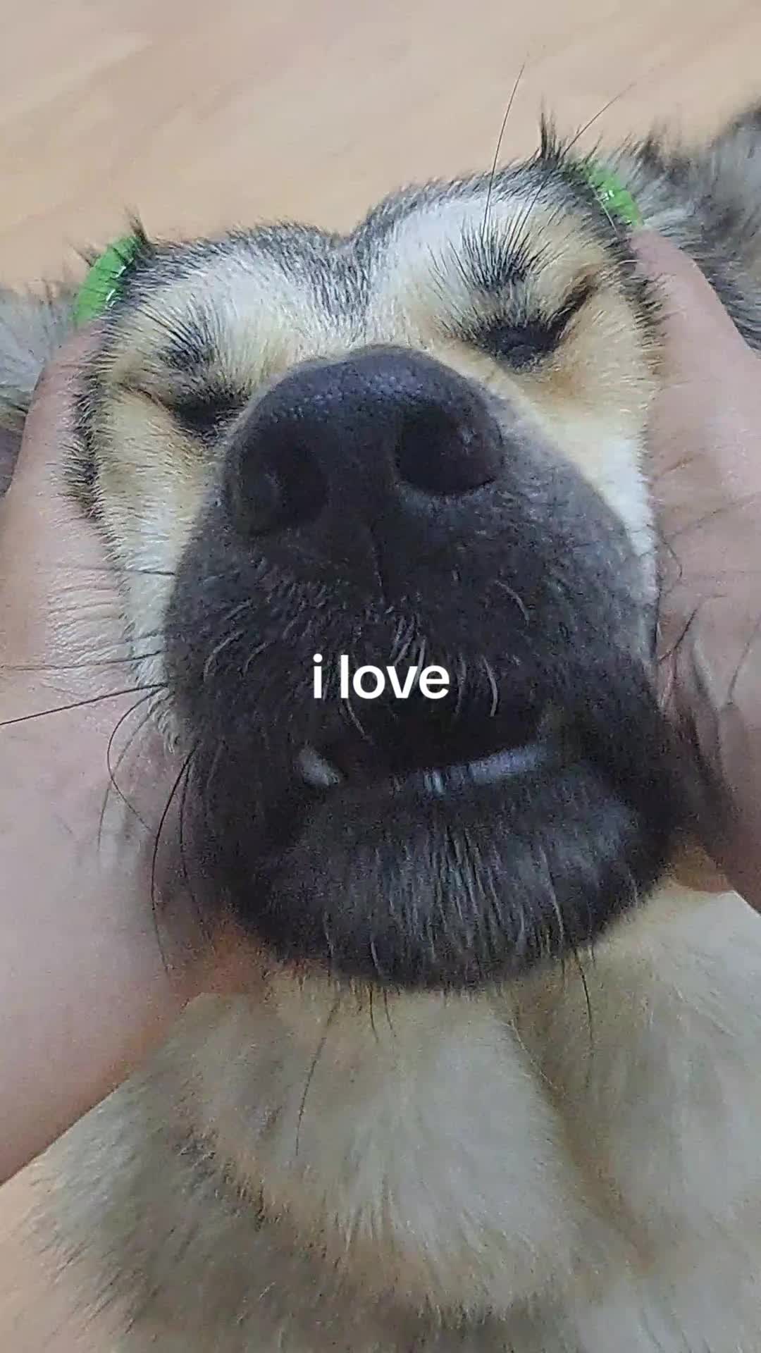 @kltrprfxtr