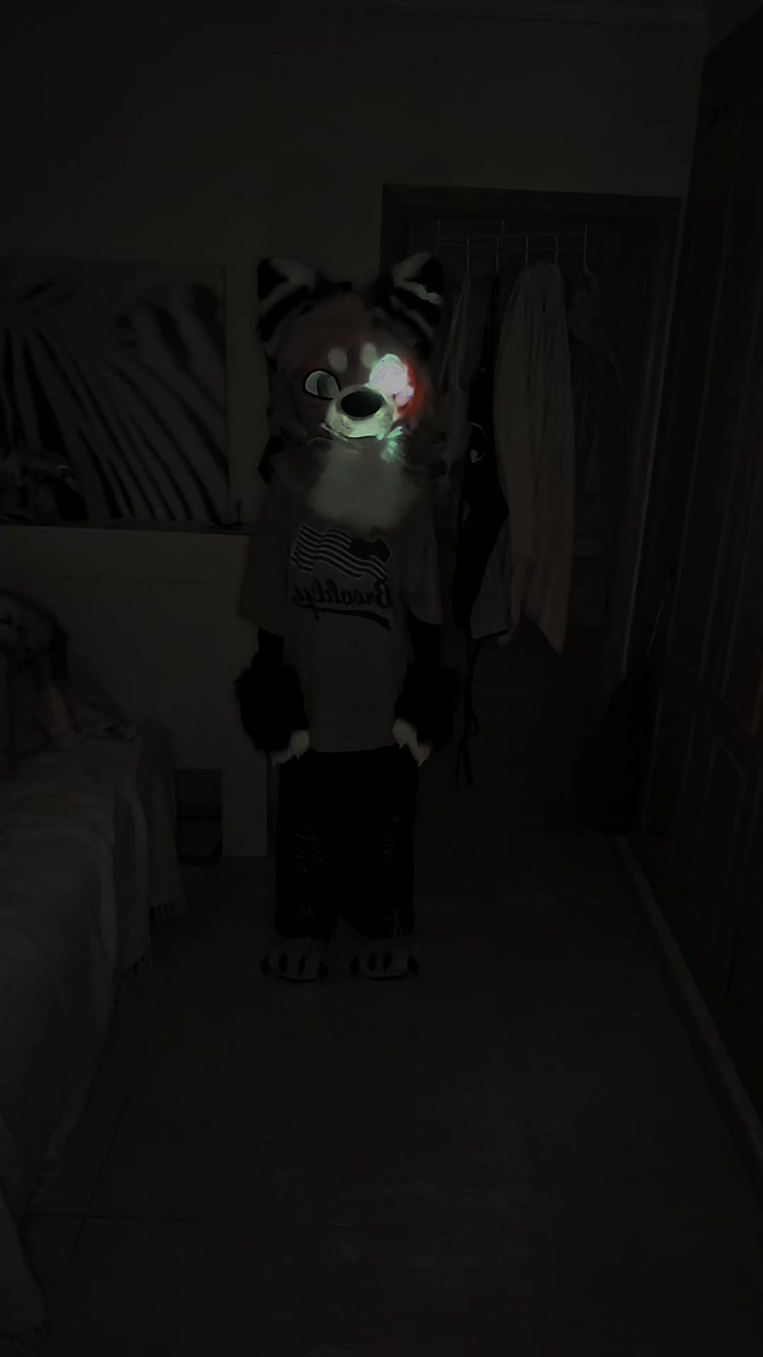 @Kyo_da_Wolf