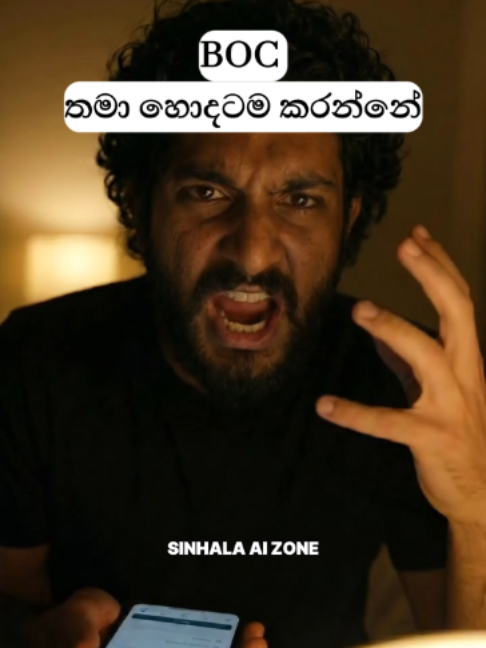 @Sinhala Ai Zone